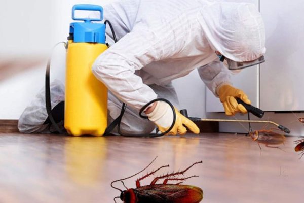 Pest Control Services Pest Control Services